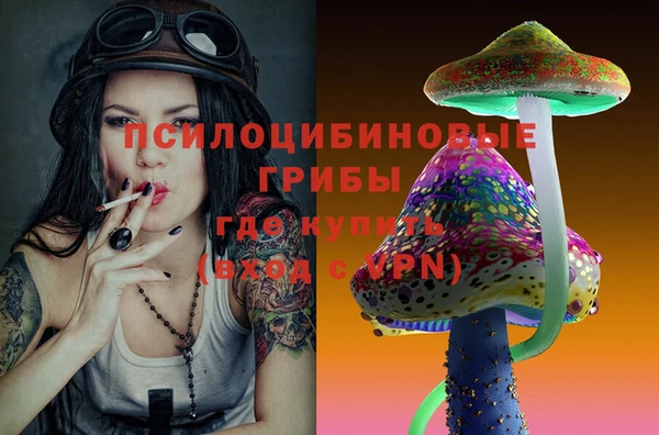 амф Гусев