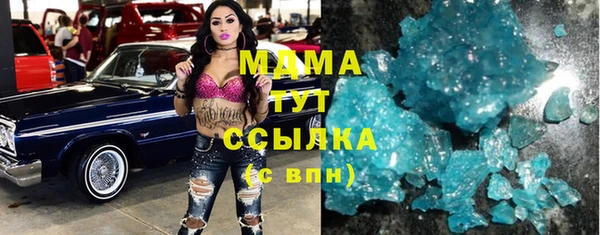амф Гусев