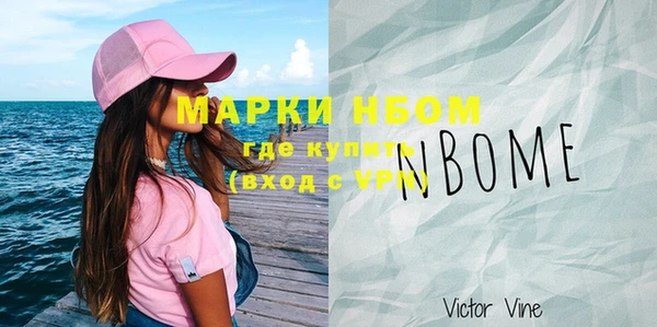прущие грибы Чердынь