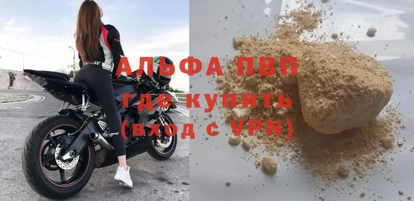 стафф Чегем