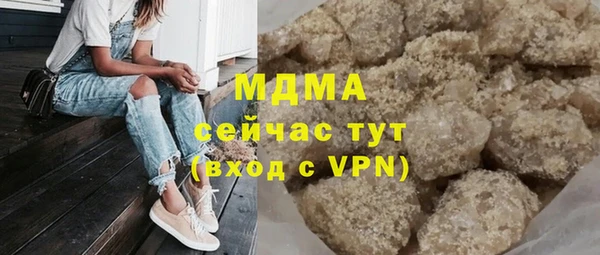 амф Гусев
