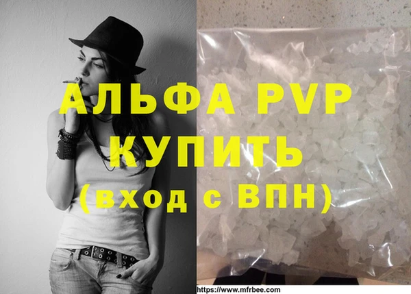 прущие грибы Чердынь
