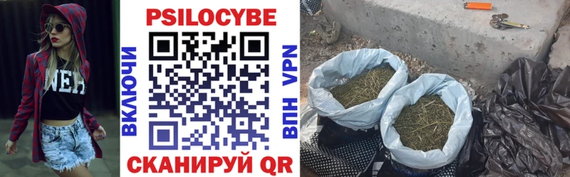 Купить  Фурманов  Галлюциногенные грибы GOLDEN TEACHER 