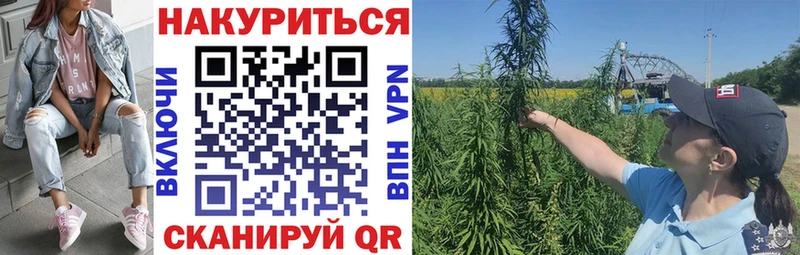 Канабис AK-47  Купить  Фурманов 